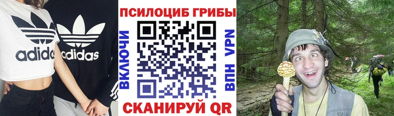 Купить где  Артёмовский  Псилоцибиновые грибы Psilocybine cubensis 